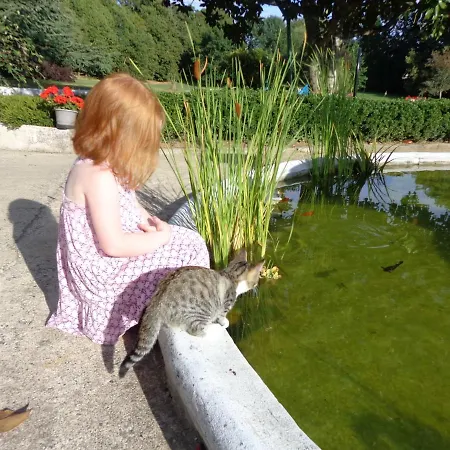 Bed and breakfast La Maison Ribotteau