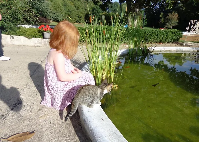 Bed & Breakfast La Maison Ribotteau